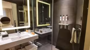 Hotel Pullman Brussels Centre Midi