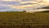 Domaine Joseph Lafarge Wine Resort – B&B