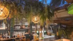 Palmito Food Market