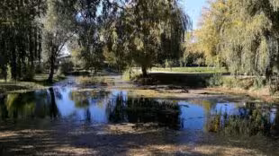 Domaine du Grand Lauron