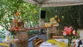 La bambouseraie de Sulauze