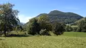 Maysou A Noste