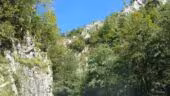 Maysou A Noste