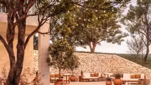 Domaine de Noé