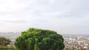 Le Moulin d'Orgemont, Restaurants - Hébergements - Evènements