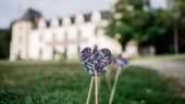 Le Château de la Roche