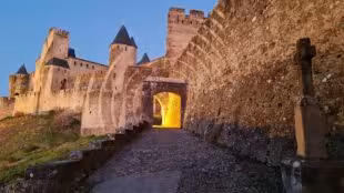 Adonis Carcassonne Résidence la Barbacane
