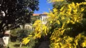 Villa Présence Toulon / La Maison du Microbiote