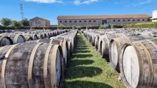 La Maison Noilly Prat - Musée - Cave - Bar - Boutique