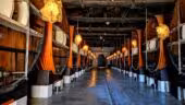 La Maison Noilly Prat - Musée - Cave - Bar - Boutique