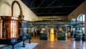 La Maison Noilly Prat - Musée - Cave - Bar - Boutique