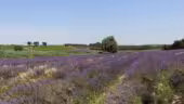 La Ferme Chapouton