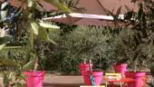 Quality Suites Maisons-Laffitte Paris Ouest.