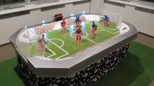 Robot boxeur / footballer