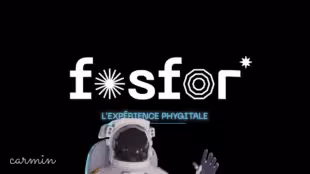 Fosfor-L'Expérience Phygitale