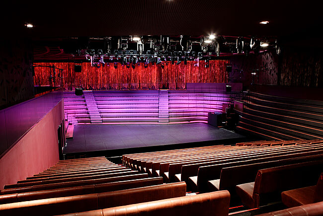 Musée du quai Branly-Auditorium