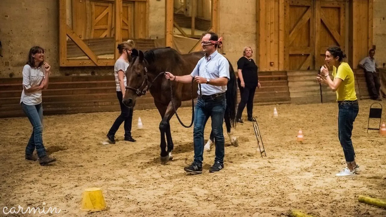 Equicoaching 2