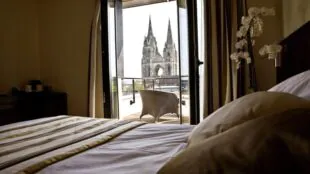 Best Western Plus Hôtel des Francs Relais des Vignes Adhérent