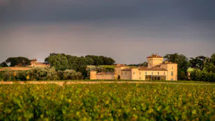 Château Lafaurie-Peyraguey