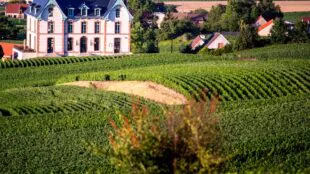 Château de Sacy