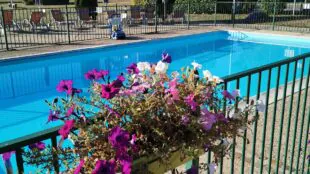 Hotel ibis Beaune Sud
