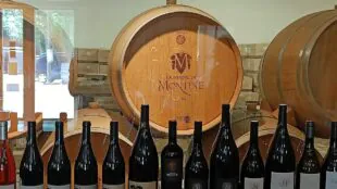 Domaine de MONTINE