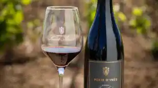 Domaine Saint André