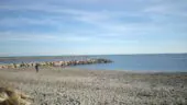 Thalacap Camargue