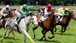Hippodrome de Nantes