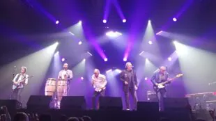 Gayant Expo Concerts