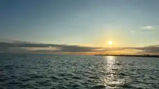 KAPALOUEST-Balade à la voile en catamaran