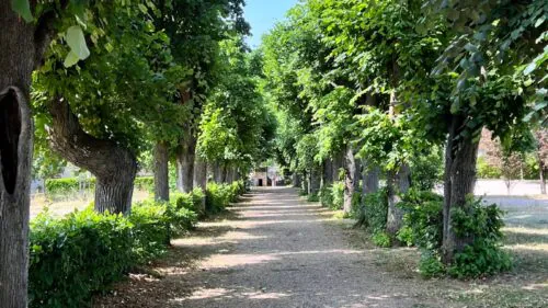 Domaine Melchior Philibert