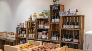 Le Village Potager