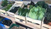 Le Village Potager