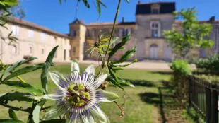 Château Formont