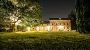 Le domaine des buis