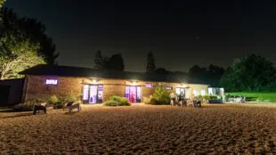 Le domaine des buis