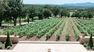 Domaine de la Galinière