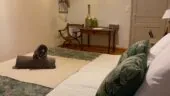 Gîte Gironde : Maison d'Emmannaelle