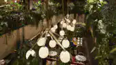 Alcazar-Mezzanine / Balcon Bar