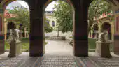 Cour Mûrier - Ecole des Beaux Arts