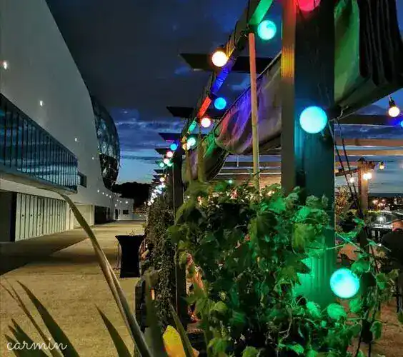 New Rose Cocktail Bar Séminaire & soirée Disponibilité et devis en