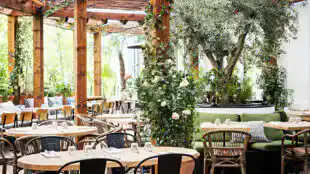 Auteuil Brasserie