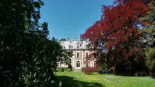 Château de Châtenay