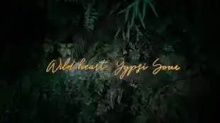Gypsi Motel