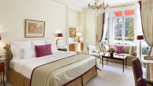 Hôtel Plaza Athénée Paris *****