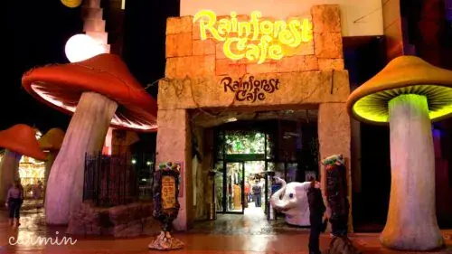 Rainforrest Café