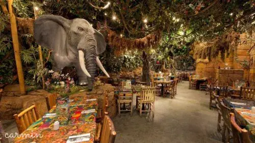 Rainforrest Café