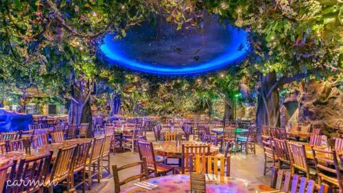 Rainforrest Café