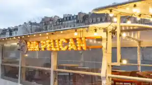 Mr Pélican